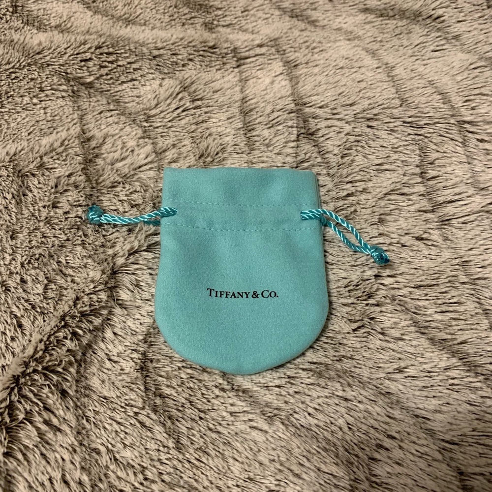 Authentic Small Tiffany & Co pouch